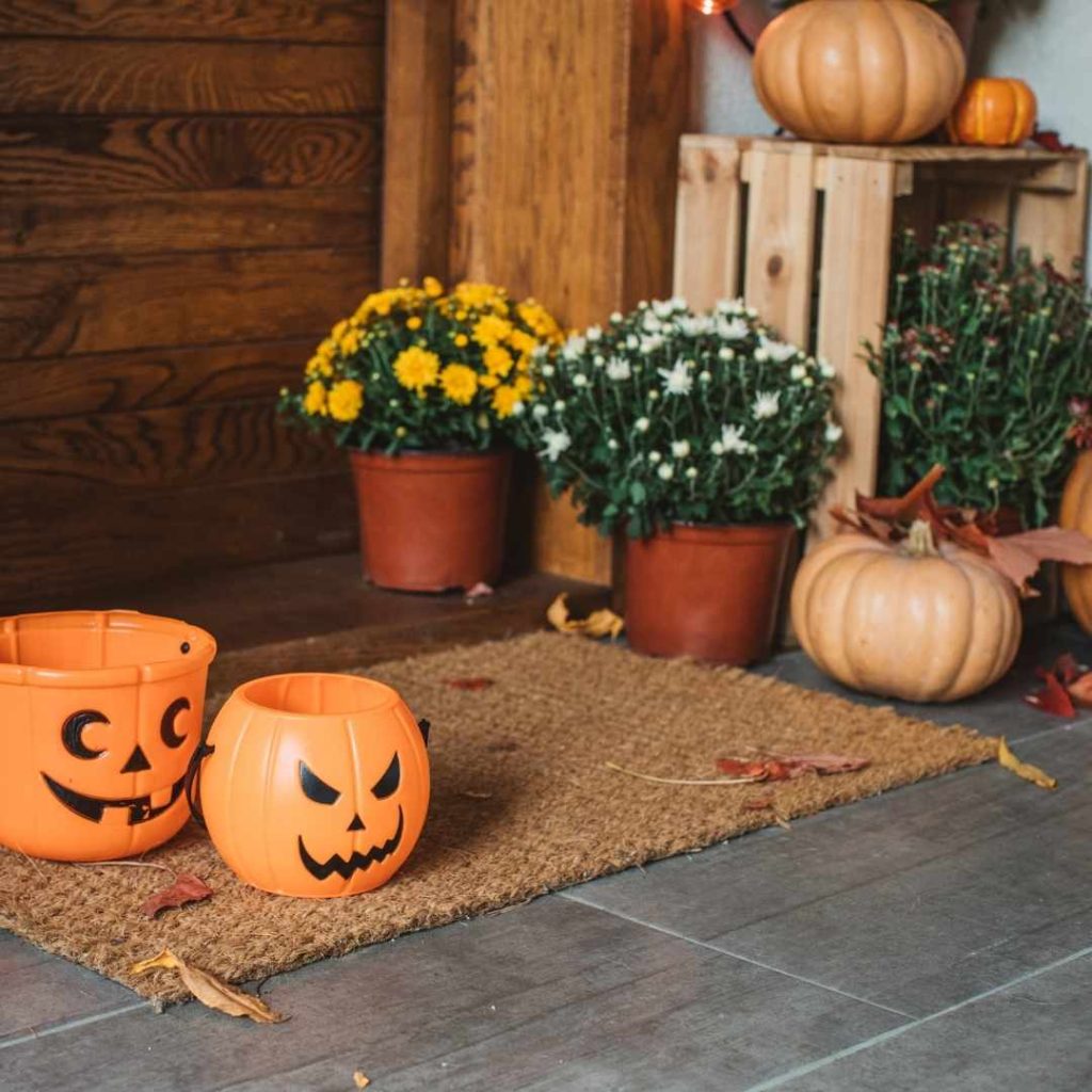 Jenis-jenis bunga yang cocok untuk halloween