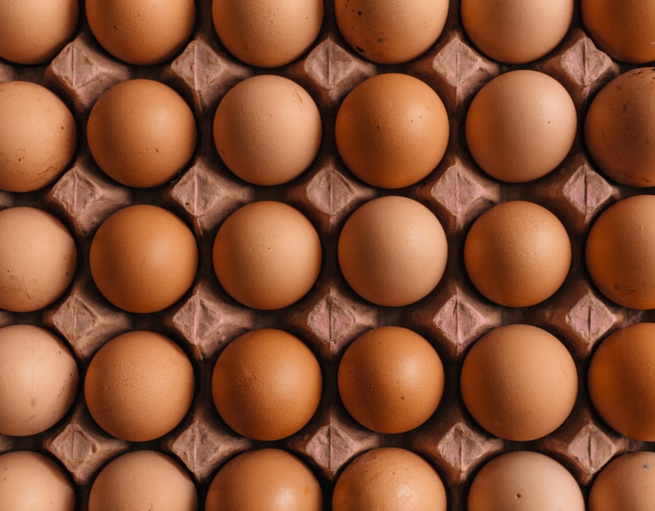 Telur