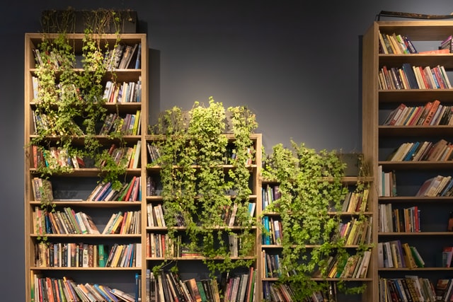 Ide Design Living Wall