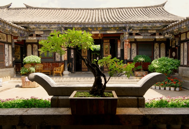 Bonsai Serut