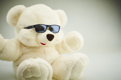 Teddy Bear Boneka Lucu