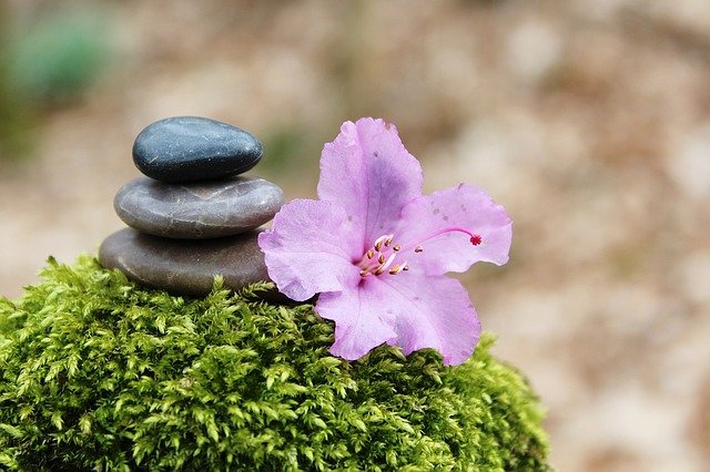 Arti Warna Bunga Azalea