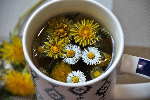 Bunga Daisy Untuk Makanan dan Minuman