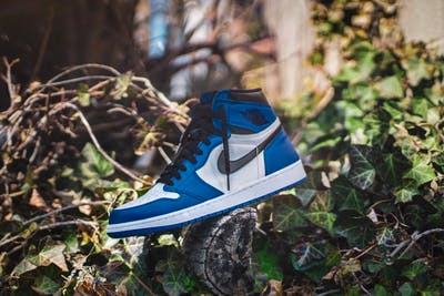 Sepatu Sneakers Untuk Pria Cancer
