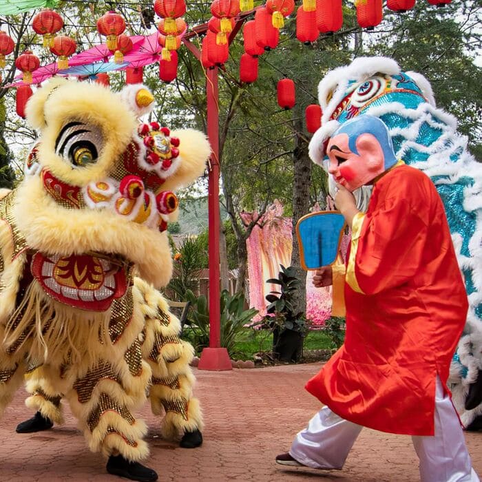 melihat tarian naga - festival mooncake 2024