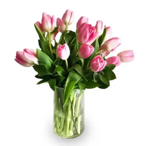 tulip ungu