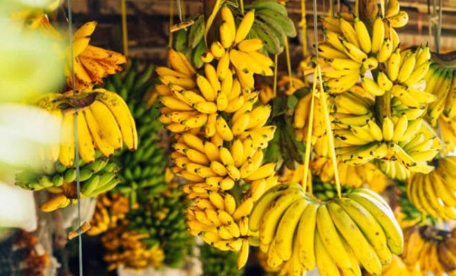 Pisang - Parcel buah Imlek