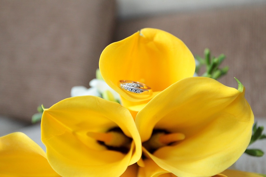 Calla Lily