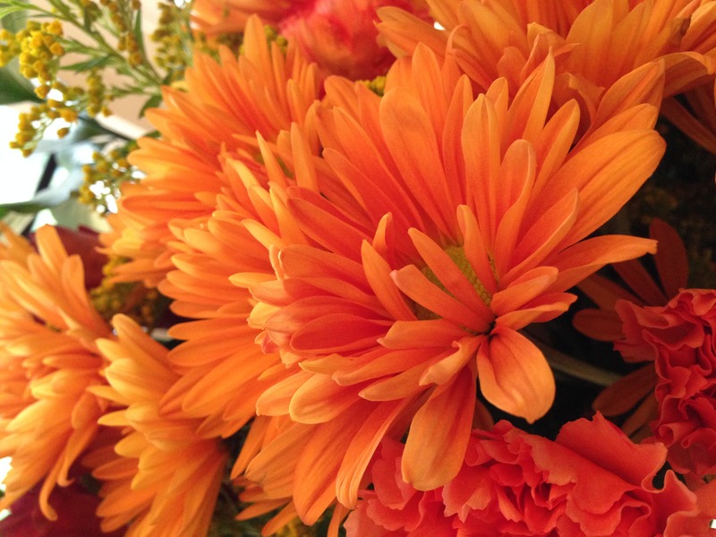 Fall Flowers Type