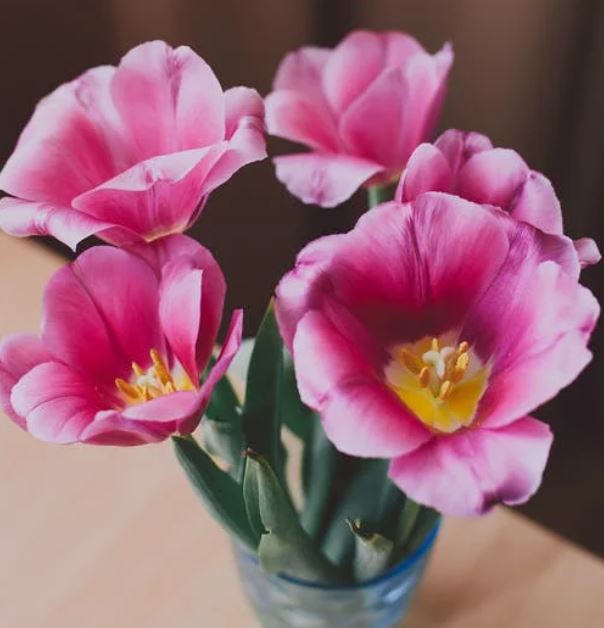 Hawaian Flowers