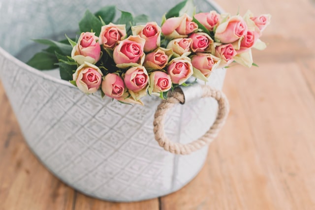Buy Cut Roses at a Trusted Store or Florist