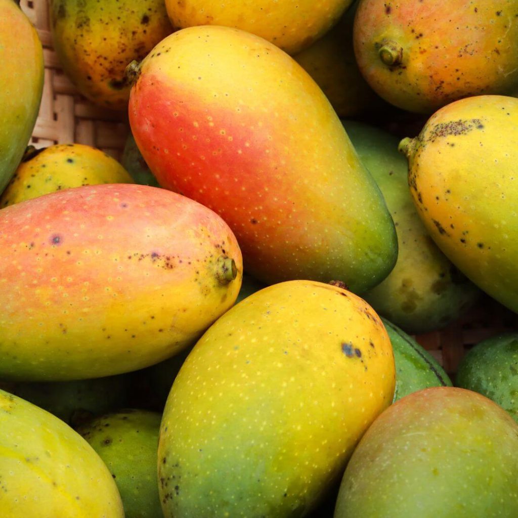 Mango - Summer Fruits