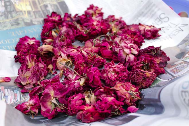 Dry roses potpourri