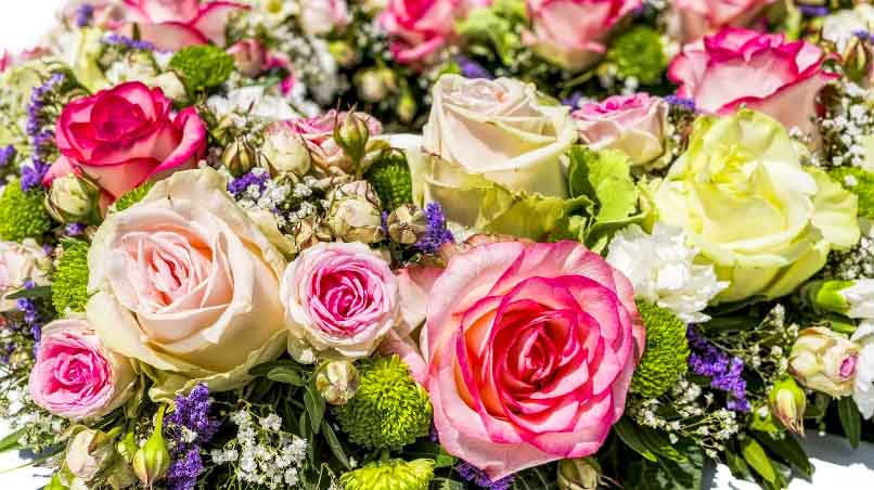 Mixed roses