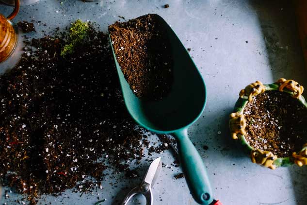 Planting tools