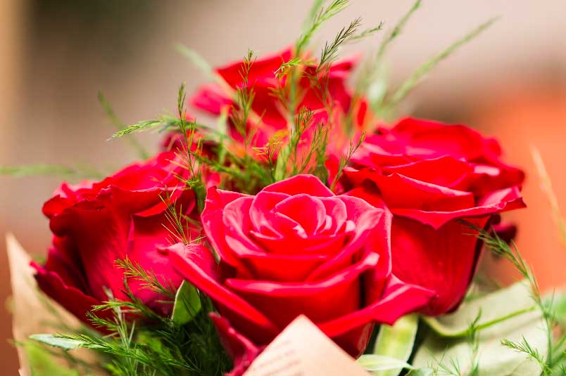 Red roses