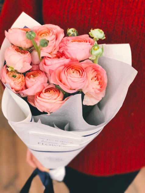 Simple pink rose