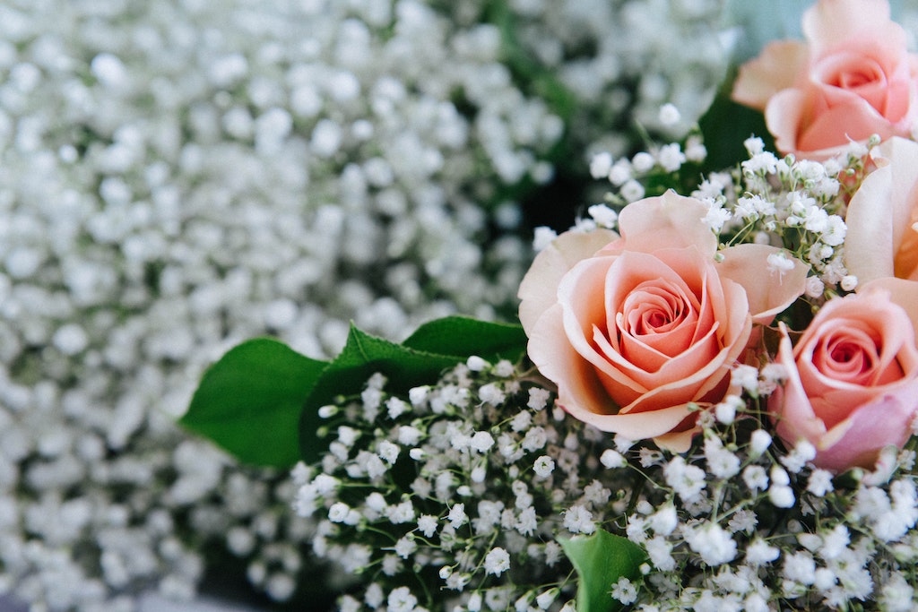 Baby breath