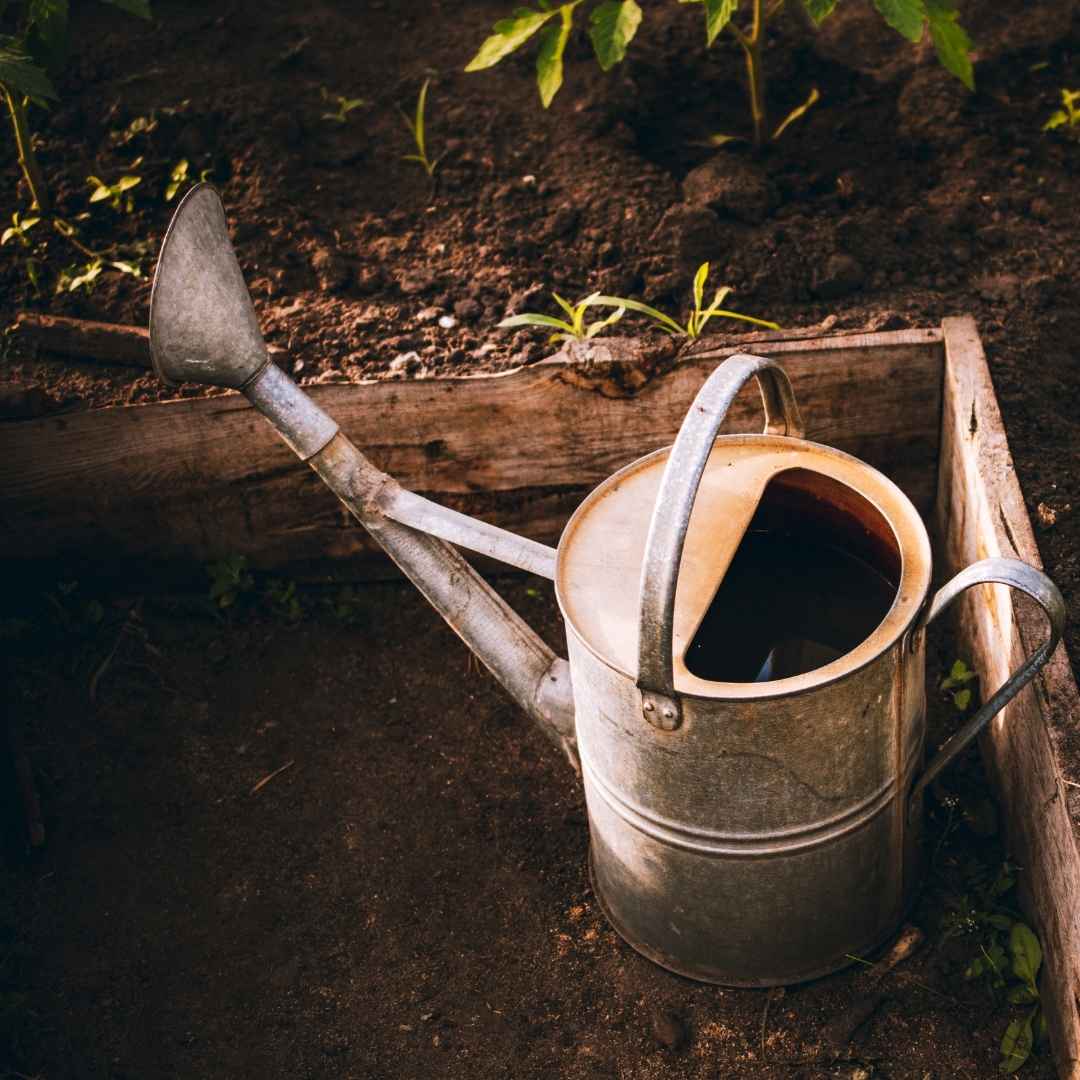 watering can