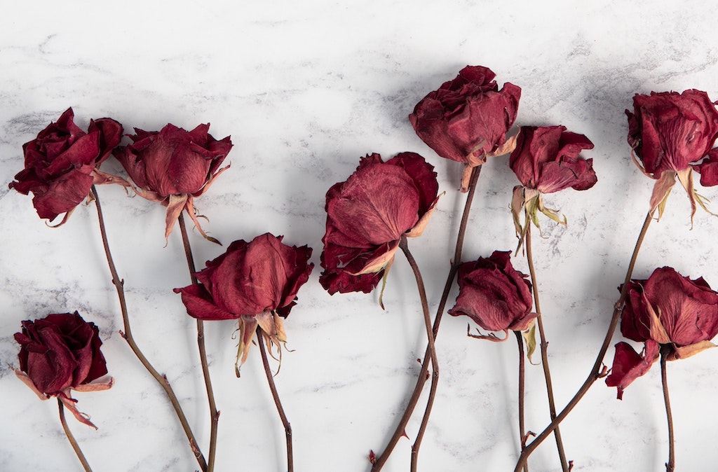 Dried flowers