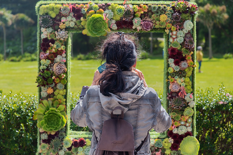 Flower Frame | Flickr