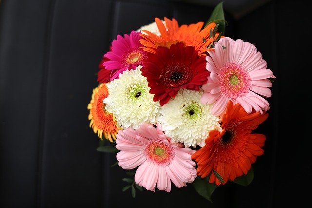 Daisies Bouquet