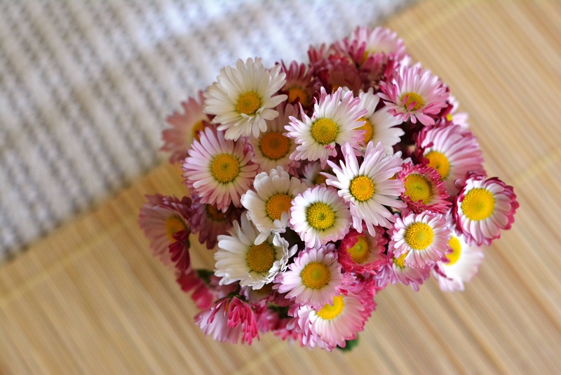Gerbera Daisies