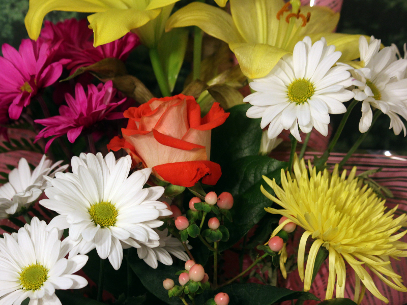 Daisy Bouquet Meaning