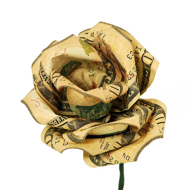 Money Bouquet Rose