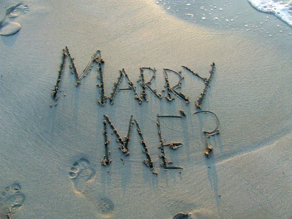 Flowers, Proposals and Everything Nice