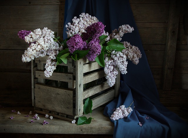 What is Flower Box
