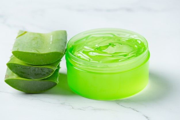 How to Take Care of Aloe Vera