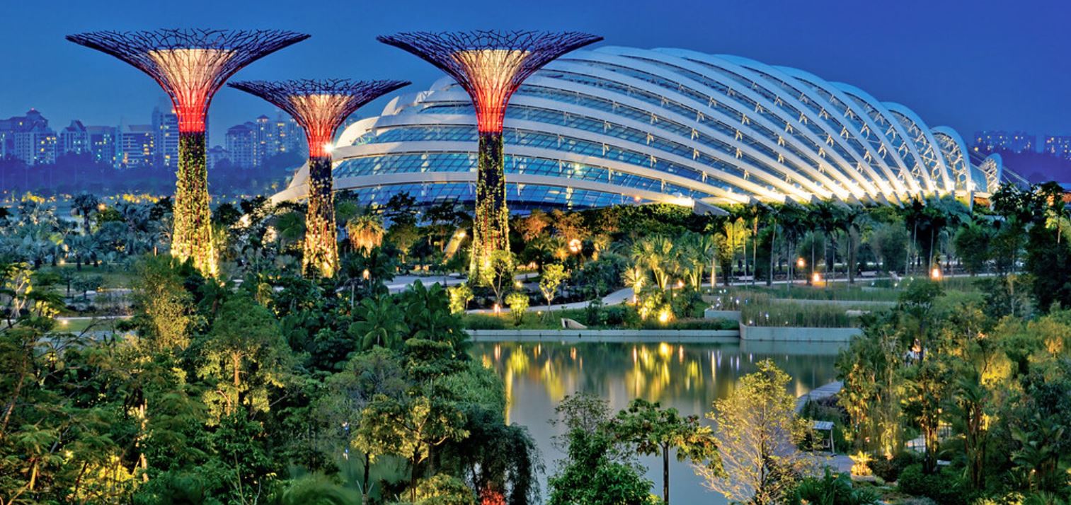 Inside Flower's Dome Singapore