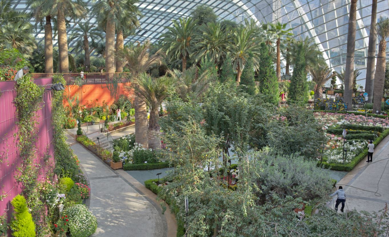What is special about the flower Dome