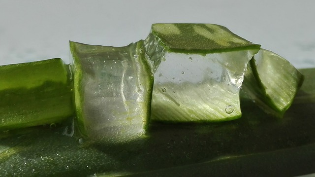 All About Aloe Vera