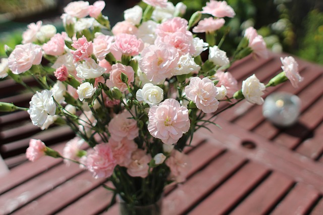 Type of Carnation