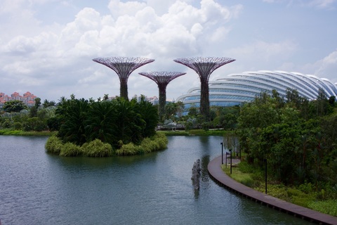 Best Time To Visit Singapore Flower Doom