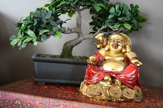Feng Shui Plant