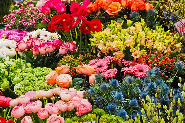 Fresh Cut Flowers Singapore