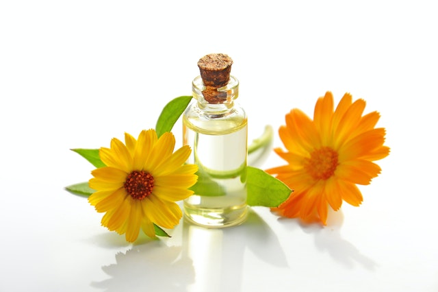 Sunflower Benefit Facts