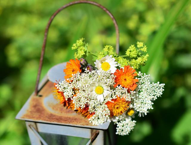 Cold Storage Flowers