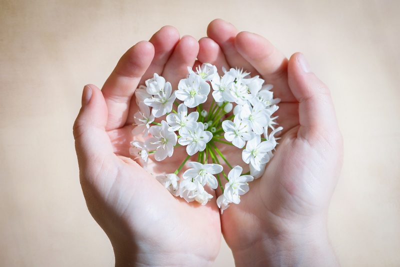How do We Keep Flowers