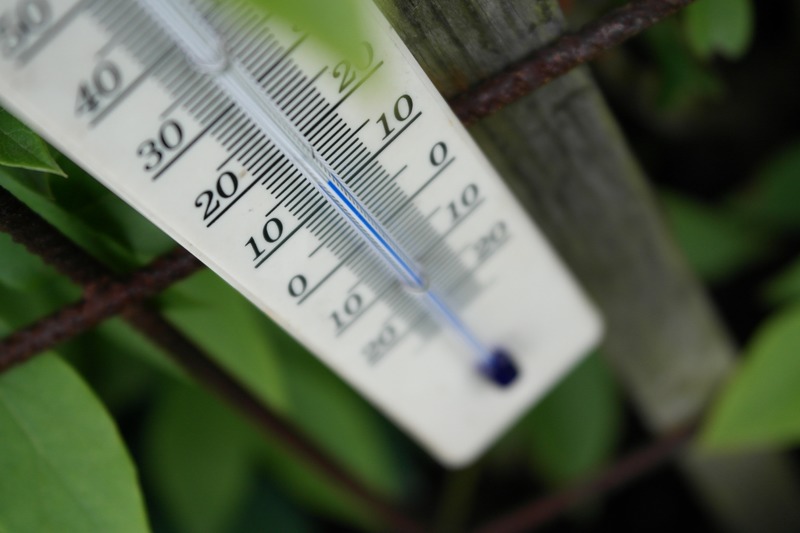 Best Temperature for Flowers