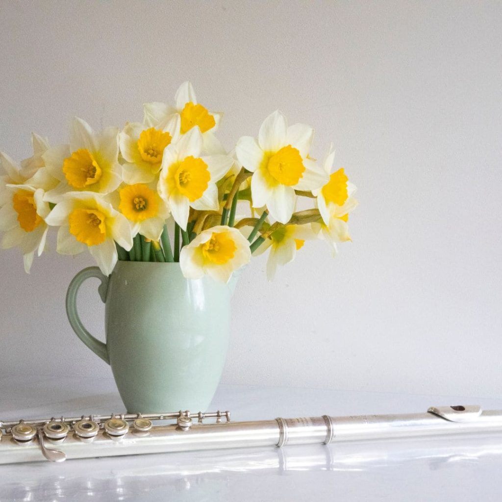 Daffodils - Teacher's Day