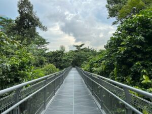 The Southern Ridges is one of the most romantic spots in Singapore