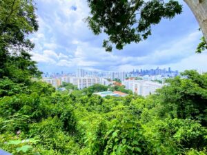 Mount Faber is one of the most romantic spots in Singapore
