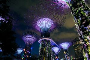Take a romantic walk through Gardens by the Bay