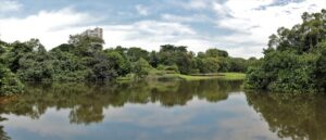 Singapore Botanic Gardens e most romantic spots in Singapore