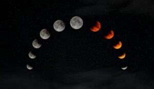 What Is the Chinese New Year Zodiac?