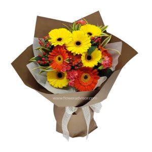 gerbera